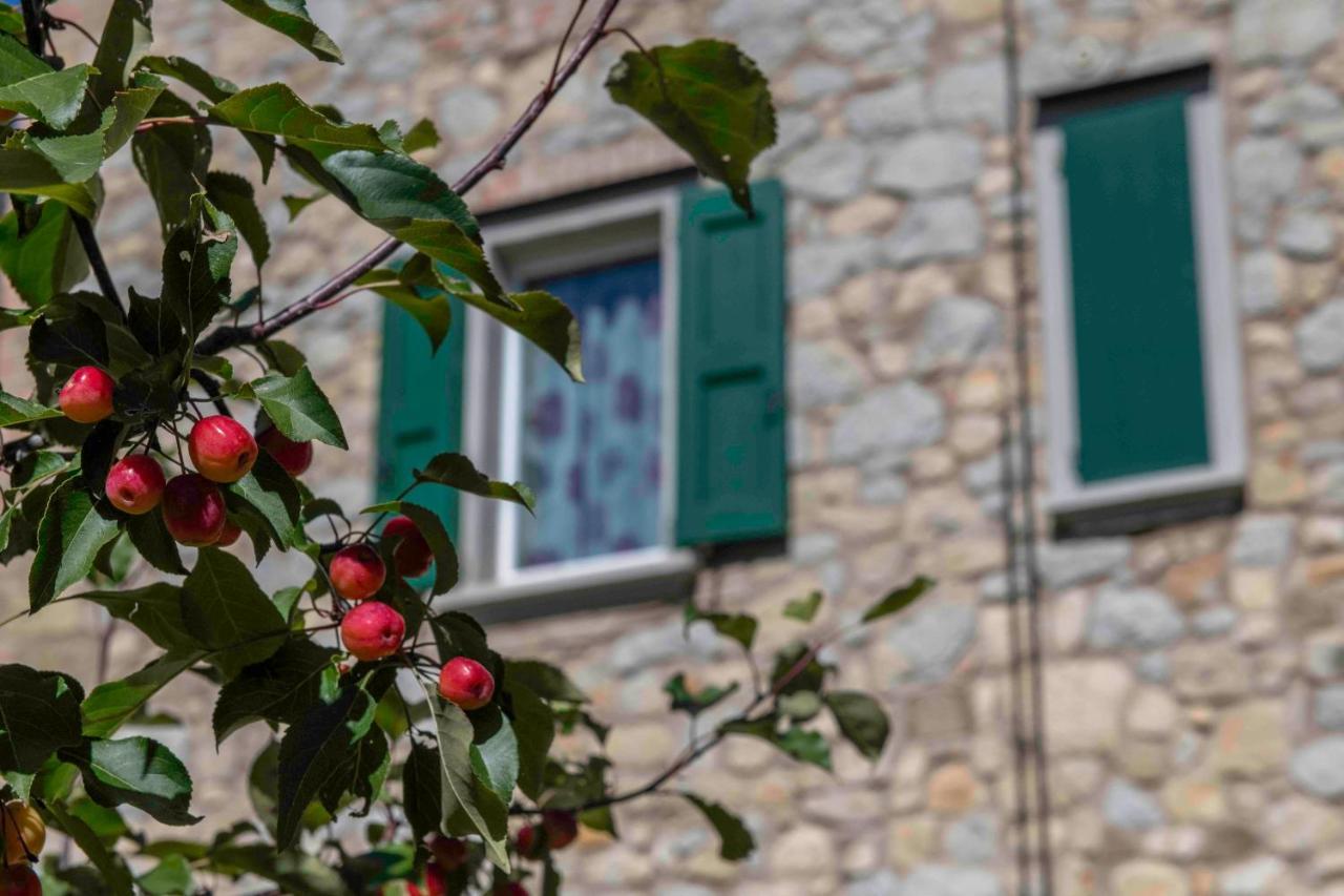 Podere Pratizzoli Tole Exterior photo