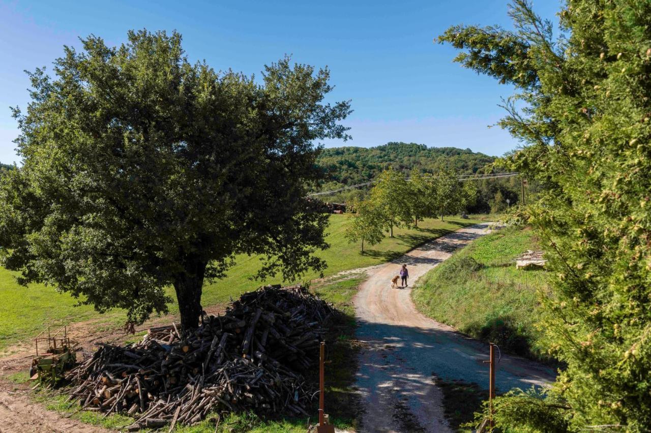Podere Pratizzoli Tole Exterior photo